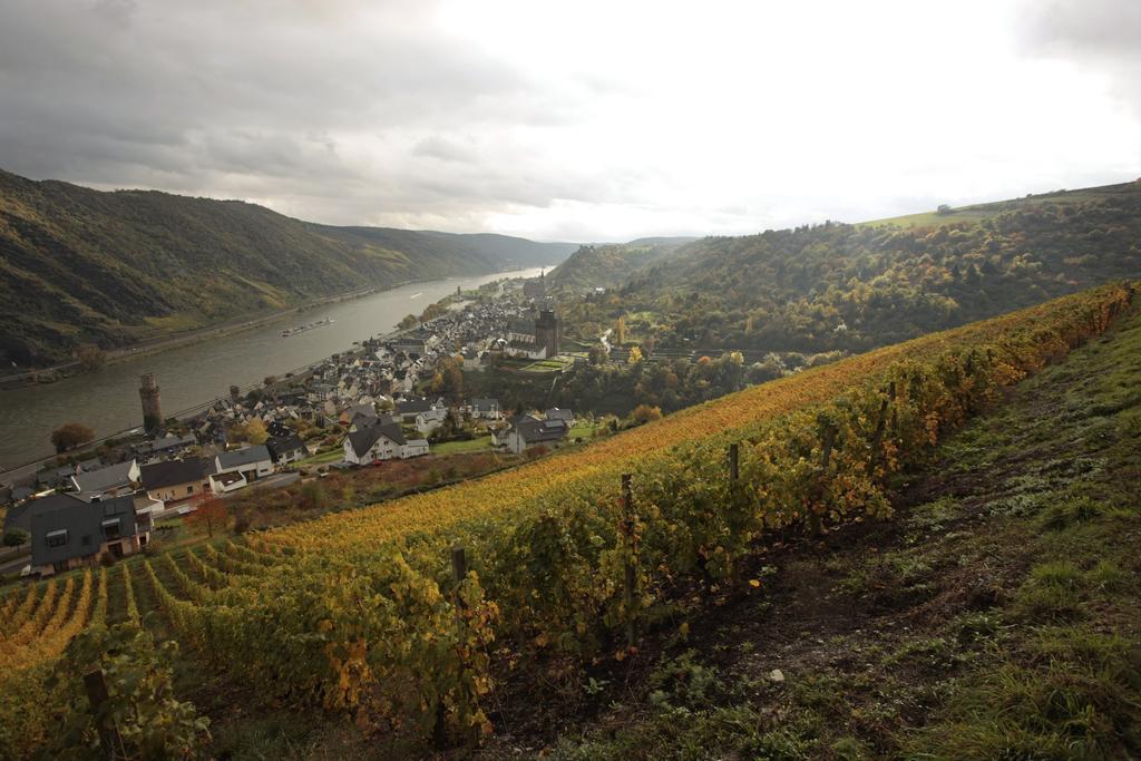Gutsschaenke Sennerhof Otel Oberwesel Dış mekan fotoğraf