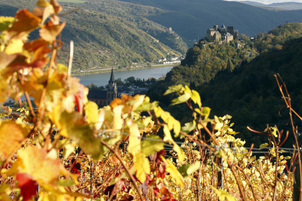 Gutsschaenke Sennerhof Otel Oberwesel Dış mekan fotoğraf